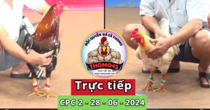 Trực Tiếp thomo CPC2 ngày 28-06-2024