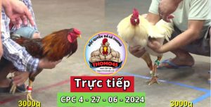 Trực Tiếp thomo CPC4 ngày 27-06-2024
