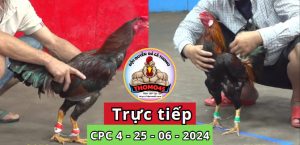 Trực Tiếp thomo CPC4 ngày 25-06-2024