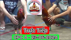 Trực Tiếp thomo CPC4 ngày 23-06-2024