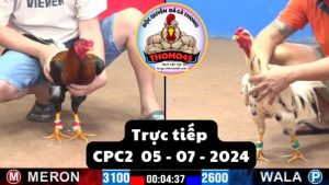 Trực Tiếp thomo CPC2 ngày 05-07-2024