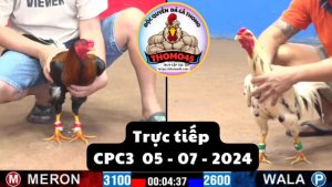Trực Tiếp thomo CPC3 ngày 05-07-2024