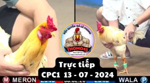 Trực Tiếp thomo CPC1 ngày 13-07-2024