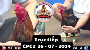 Trực Tiếp thomo CPC2 ngày 26-07-2024