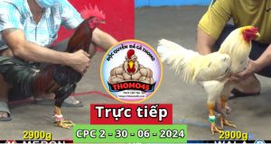 Trực Tiếp thomo CPC2 ngày 30-06-2024