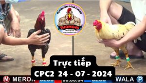 Trực Tiếp thomo CPC2 ngày 24-07-2024