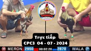 Trực Tiếp thomo CPC3 ngày 04-07-2024