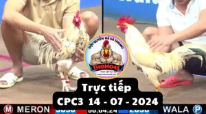 Trực Tiếp thomo CPC3 ngày 14-07-2024