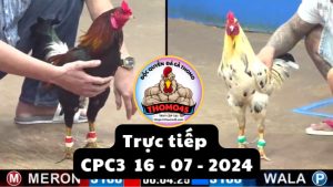 Trực Tiếp thomo CPC3 ngày 16-07-2024