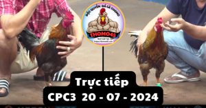 Trực Tiếp thomo CPC3 ngày 20-07-2024