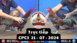 Trực Tiếp thomo CPC3 ngày 21-07-2024