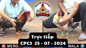 Trực Tiếp thomo CPC3 ngày 25-07-2024