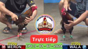 Trực Tiếp thomo CPC3 ngày 01-07-2024