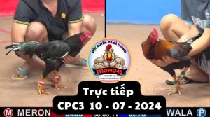 Trực Tiếp thomo CPC3 ngày 10-07-2024