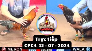 Trực Tiếp thomo CPC4 ngày 12-07-2024