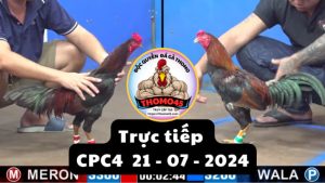 Trực Tiếp thomo CPC4 ngày 21-07-2024
