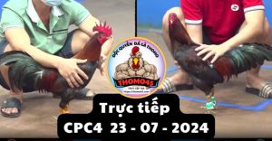 Trực Tiếp thomo CPC4 ngày 23-07-2024