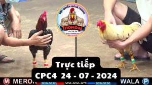 Trực Tiếp thomo CPC4 ngày 24-07-2024