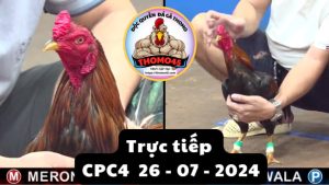 Trực Tiếp thomo CPC4 ngày 26-07-2024