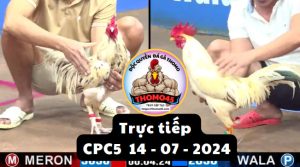 Trực Tiếp thomo CPC5 ngày 14-07-2024