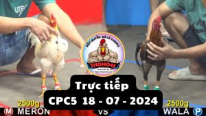Trực Tiếp thomo CPC5 ngày 18-07-2024