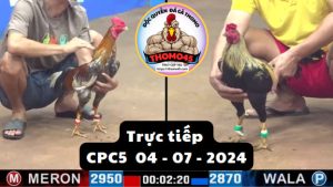 Trực Tiếp thomo CPC5 ngày 04-07-2024