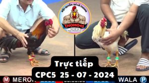 Trực Tiếp thomo CPC5 ngày 25-07-2024