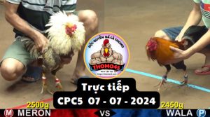 Trực Tiếp thomo CPC5 ngày 07-07-2024