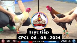 Trực Tiếp thomo CPC1 ngày 06-08-2024