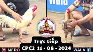Trực Tiếp thomo CPC2 ngày 11-08-2024