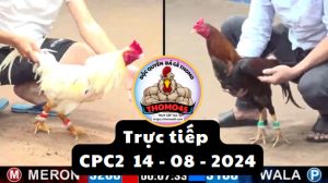 Trực Tiếp thomo CPC2 ngày 14-08-2024