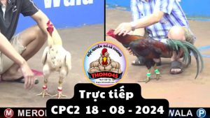 Trực Tiếp thomo CPC2 ngày 18-08-2024