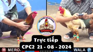 Trực Tiếp thomo CPC2 ngày 21-08-2024