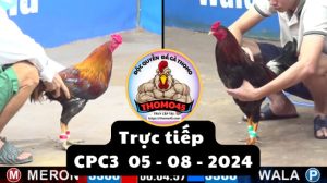 Trực Tiếp thomo CPC3 ngày 05-08-2024