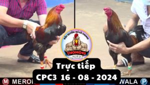 Trực Tiếp thomo CPC3 ngày 16-08-2024
