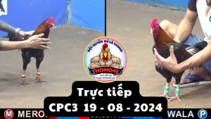Trực Tiếp thomo CPC3 ngày 19-08-2024