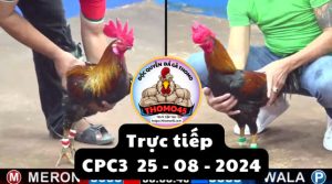 Trực Tiếp thomo CPC3 ngày 25-08-2024