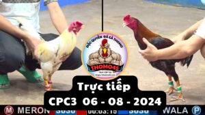 Trực Tiếp thomo CPC3 ngày 06-08-2024