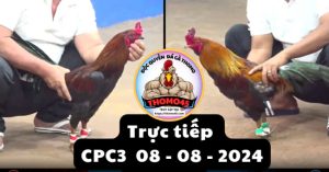Trực Tiếp thomo CPC3 ngày 08-08-2024