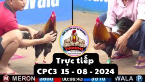 Trực Tiếp thomo CPC3 ngày 15-08-2024