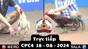 Trực Tiếp thomo CPC4 ngày 18-08-2024