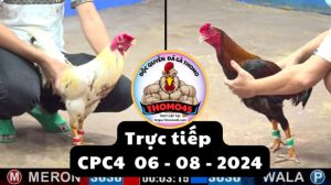 Trực Tiếp thomo CPC4 ngày 06-08-2024