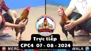 Trực Tiếp thomo CPC4 ngày 07-08-2024
