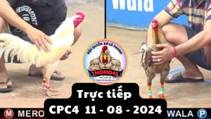 Trực Tiếp thomo CPC4 ngày 11-08-2024