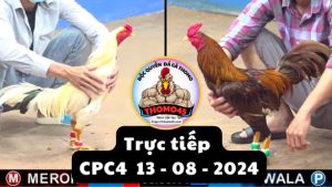 Trực Tiếp thomo CPC4 ngày 13-08-2024