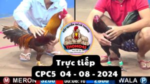 Trực Tiếp thomo CPC5 ngày 04-08-2024
