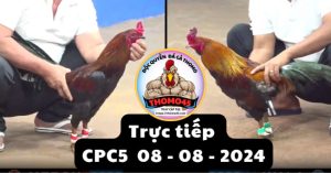 Trực Tiếp thomo CPC5 ngày 08-08-2024