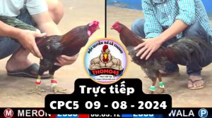 Trực Tiếp thomo CPC5 ngày 09-08-2024