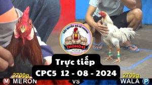 Trực Tiếp thomo CPC5 ngày 12-08-2024