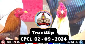 Trực Tiếp thomo CPC1 ngày 02-09-2024